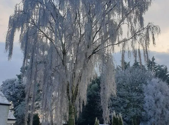 公寓 Dunderry Self Catering Family 纳文